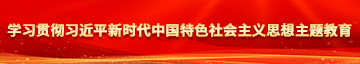 操美女淫B学习贯彻习近平新时代中国特色社会主义思想主题教育